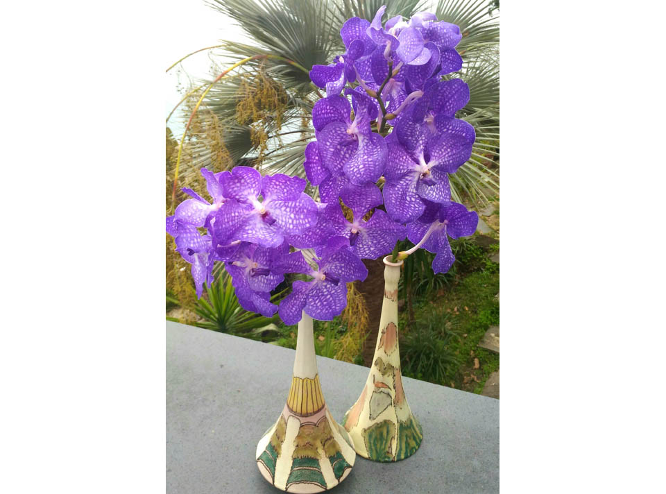 Un fiore di nome Vanda
