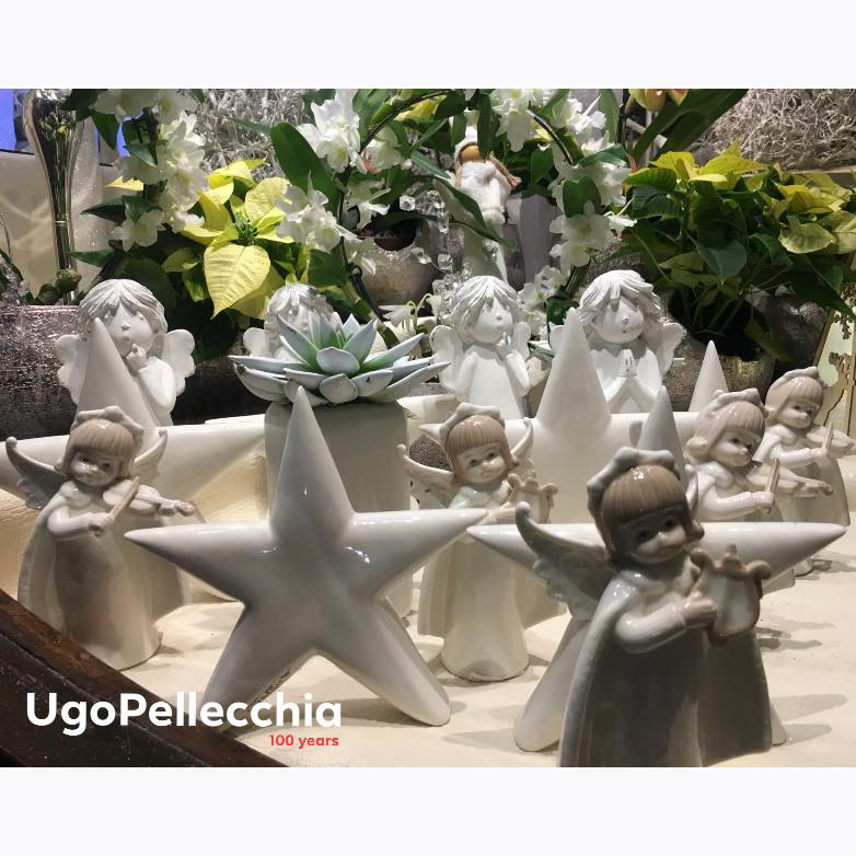 Albero di Natale - Ugo Pellecchia Piante e Fiori