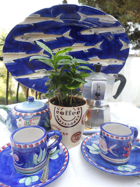 Caffè: storia, cultura e piaceri