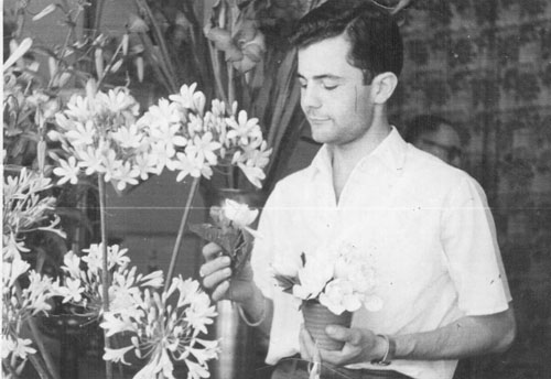 pellecchia 1955