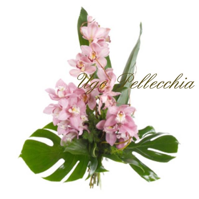 fascio__orchidee9