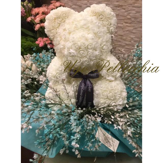 orso-bianco